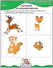 Hayvanlar ve Yavruları Eğitici Kartları